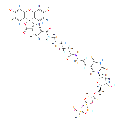 Fluorescein-12-dUTP
