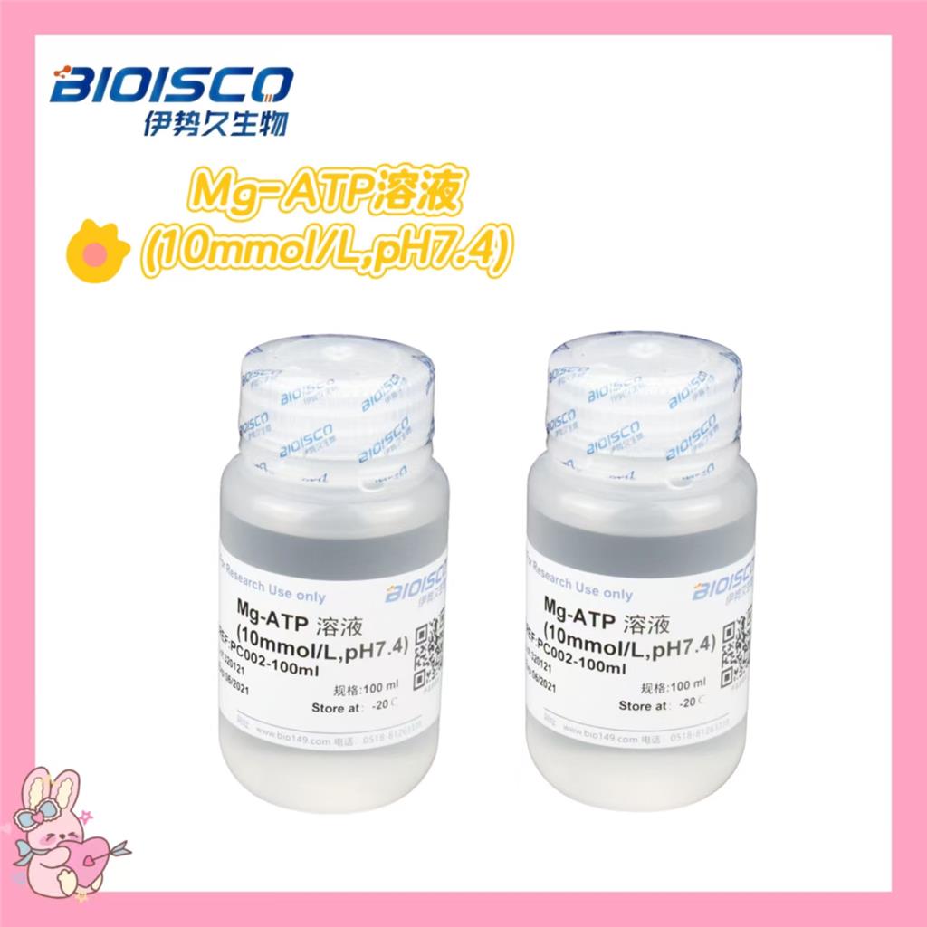 Mg-ATP溶液(10mmol/L,pH7.4)