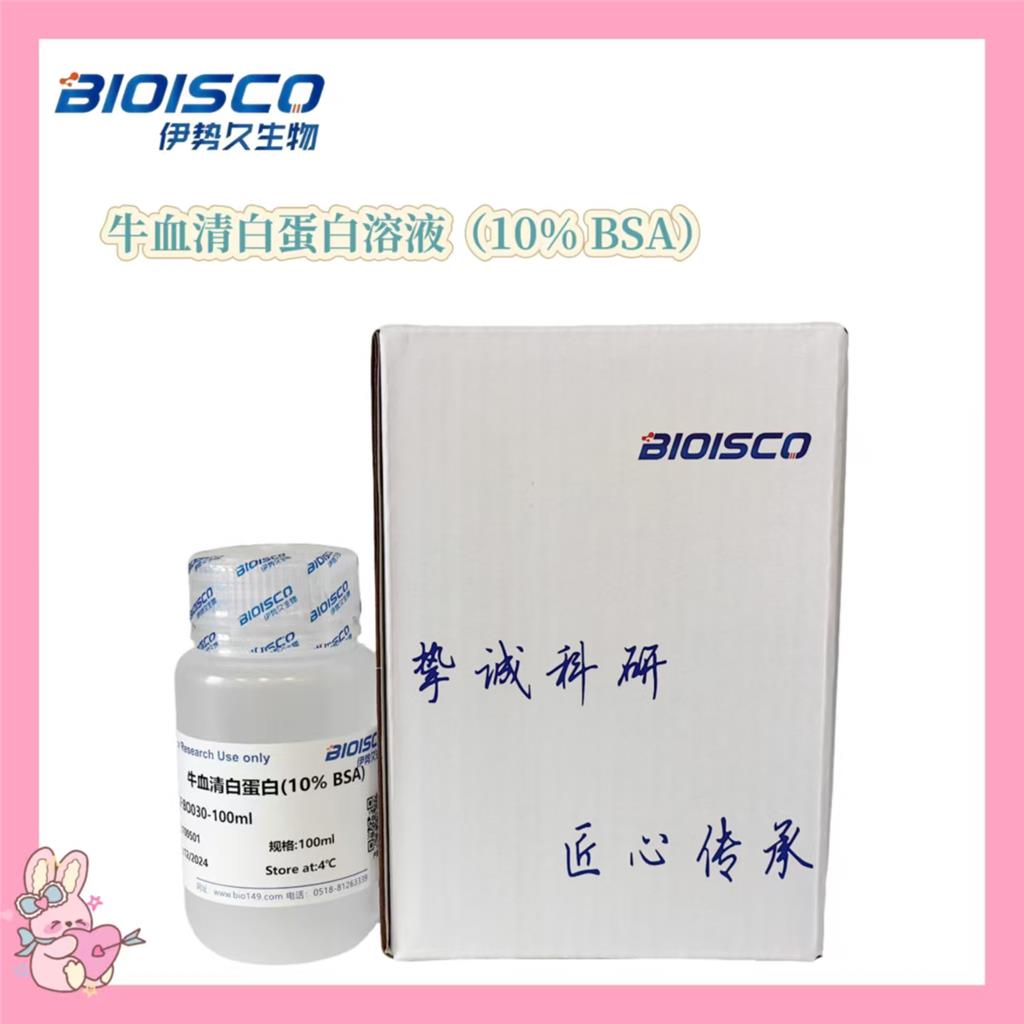 牛血清白蛋白溶液（10% BSA）