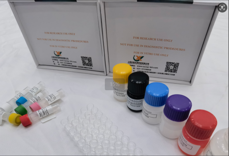 小鼠脱氢表雄酮 (DHEA) ELISA试剂盒