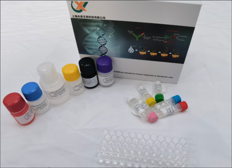 小鼠血栓素B2 (TXB2) ELISA试剂盒