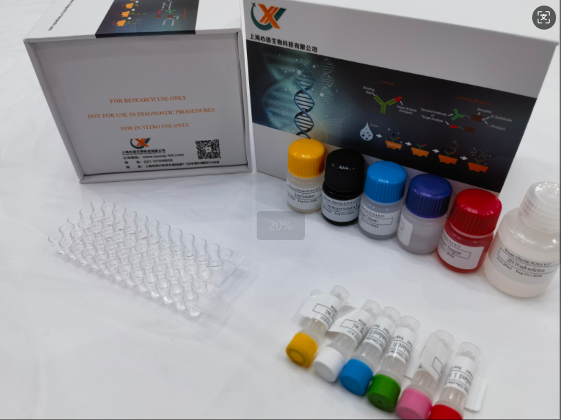 小鼠促性腺激素释放激素1 (GnRH1) ELISA试剂盒