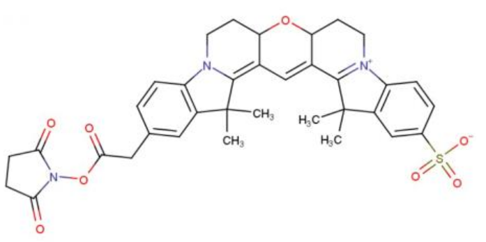 Cy3B NHS ester，228272-52-4，荧光染料试剂特点介绍