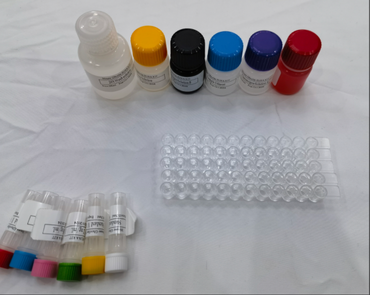 小鼠整合素αM型(ITGαM/CD11b)快速检测ELISA试剂盒