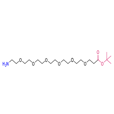 H2N-PEG6-CO-OtBu