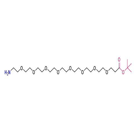 H2N-PEG8-CO-OtBu