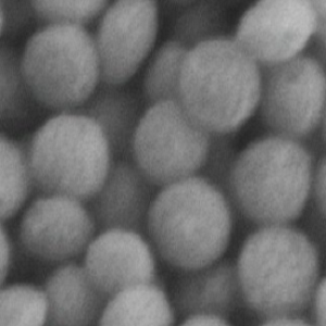 二氧化硅包覆金纳米颗粒，Silica-Coated Gold Nanoparticles
