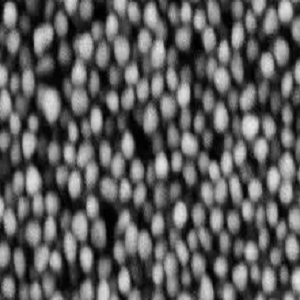 油溶性银纳米颗粒，Oil-Soluble Silver Nanoparticles