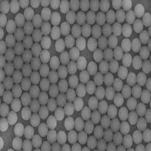 高单分散银纳米颗粒，Highly Monodisperse Silver Nanoparticles