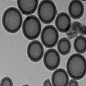 中孔介孔二氧化硅，Mesoporous Silica