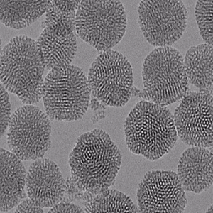 NH2-MSNs，氨基介孔二氧化硅纳米颗粒