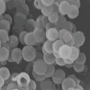 中空介孔二氧化硅纳米颗粒100nm，Hollow Mesoporous Silica Nanoparticles