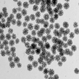 树枝状氨基大孔径介孔二氧化硅纳米颗粒，Dendritic NH2-LPMSNs