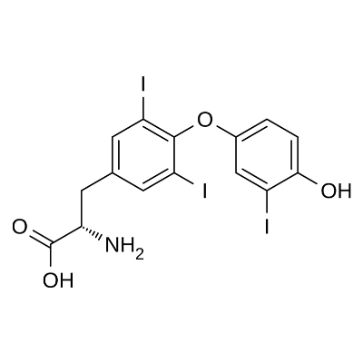 Anti-Triiodothyronine (T3) Monoclonal Antibody