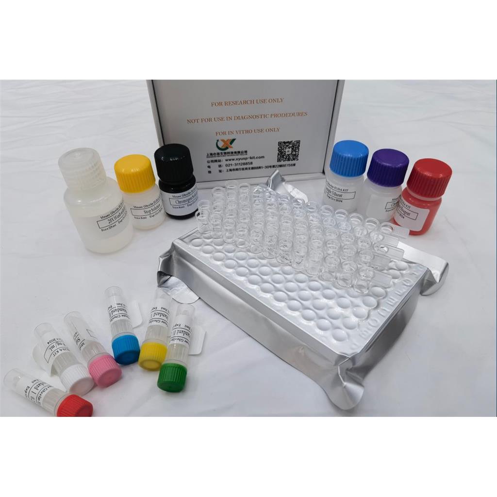小鼠子宫珠蛋白 (Uteroglobin) ELISA试剂盒