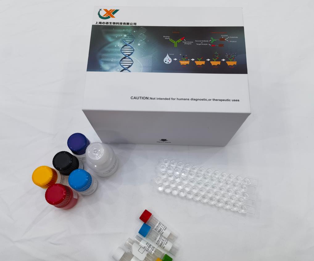 小鼠粘蛋白2 (MUC2) ELISA试剂盒