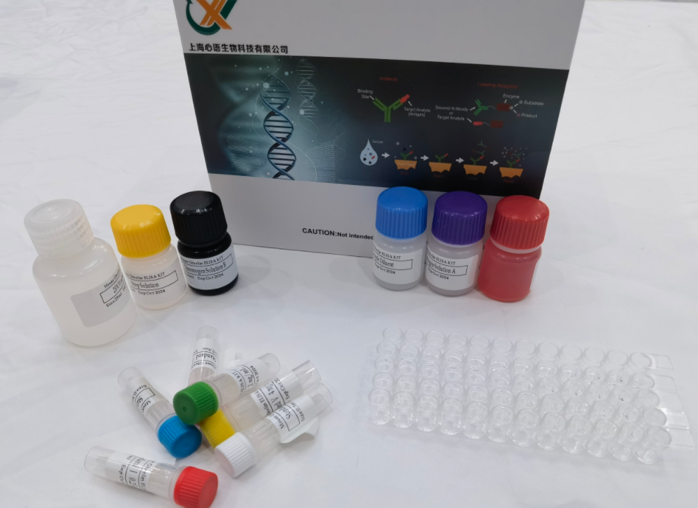 小鼠组蛋白脱乙酰基酶3 (HDAC3) ELISA试剂盒