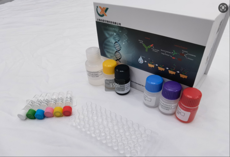 小鼠肌苷单磷酸脱氢酶 1（IMPDH1）ELISA 试剂盒