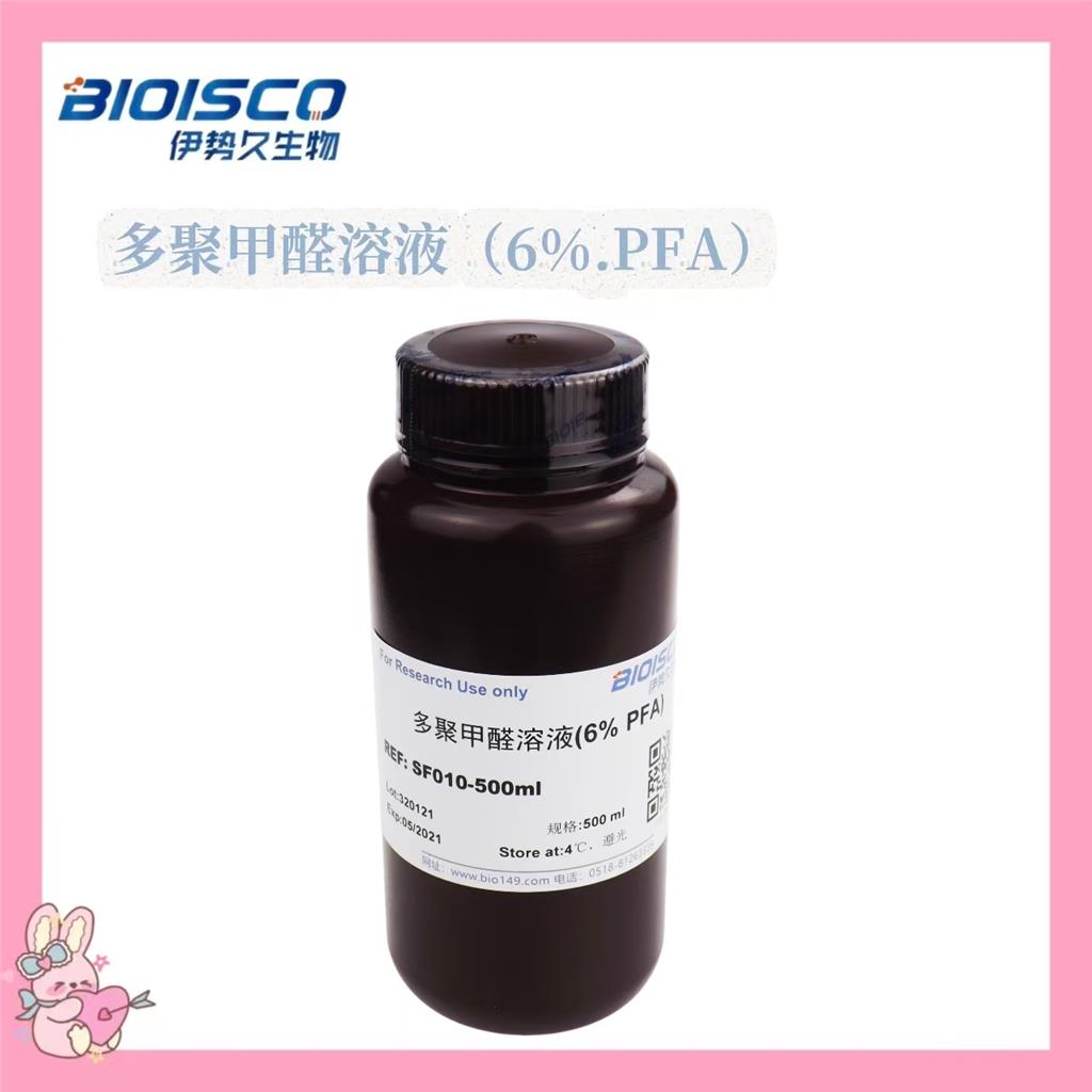 多聚甲醛溶液（6% PFA）