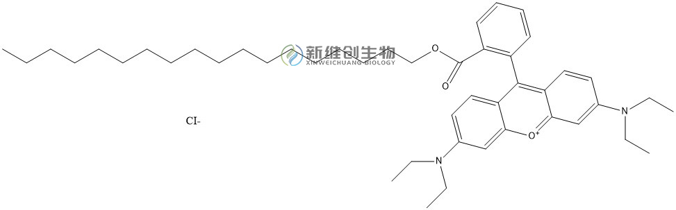 十八基罗丹明B氯化物；Octadecyl Rhodamine B (chloride)