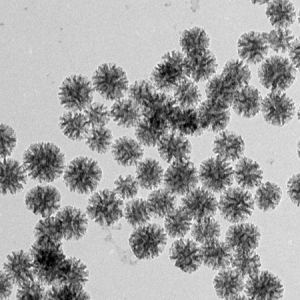 树枝状介孔二氧化硅纳米颗粒，Dendritic MSNs for Drug Delivery