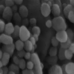 纳米铑20nm，Rhodium Nanoparticles，Rh NPs