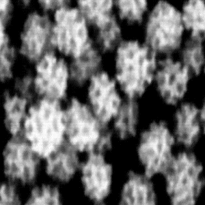 介孔铂纳米颗粒，Mesoporous Platinum Nanoparticles
