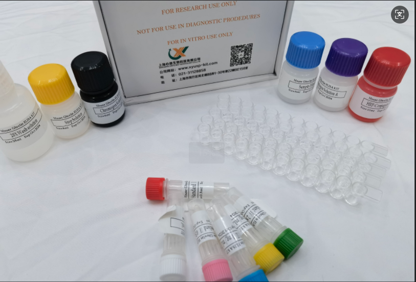 心语检测 大鼠视黄醇结合蛋白4 (RBP4) ELISA试剂盒