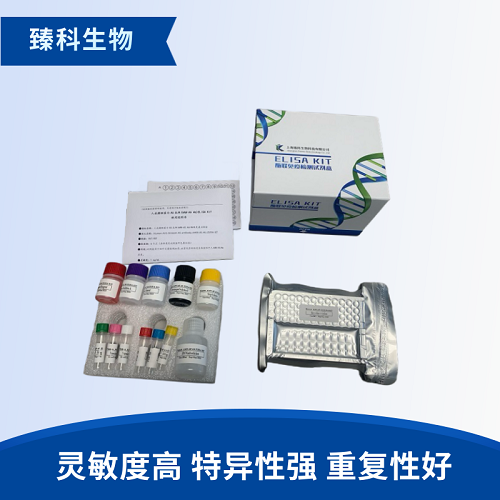 大鼠免疫球蛋白G1(IgG1）elisa试剂盒