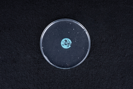 羧基化改性纳米纤维素 TL-001，南京天禄纳米，纳米纤维素厂家