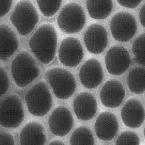 介孔二氧化钛纳米颗粒，Mesoporous Titanium Dioxide Nanoparticles，meso-TiO2
