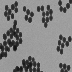 二氧化钛纳米颗粒，Titanium Dioxide Nanoparticles