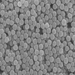 中空介孔聚多巴胺纳米颗粒，Hollow Mesoporous Polydopamine Nanoparticles
