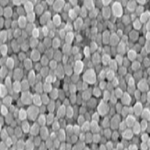 白蛋白纳米颗粒，Albumin Nanoparticles，Alb-NPs