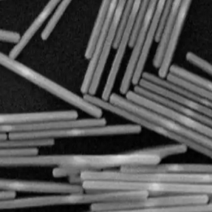 硒化铁纳米棒，Iron Selenide Nanorods，FeSe NRs