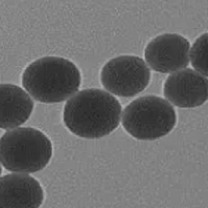 碳纳米球，Carbon Nanospheres，CNSs
