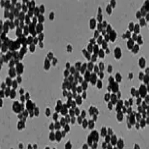 过氧化钙纳米颗粒，Calcium Peroxide Nanoparticles，CaO2 NPs