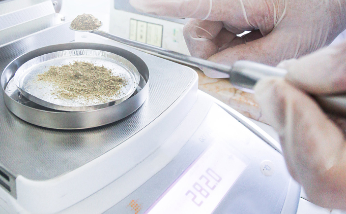 工艺开发：制剂开发_Process Development:Formulation Development