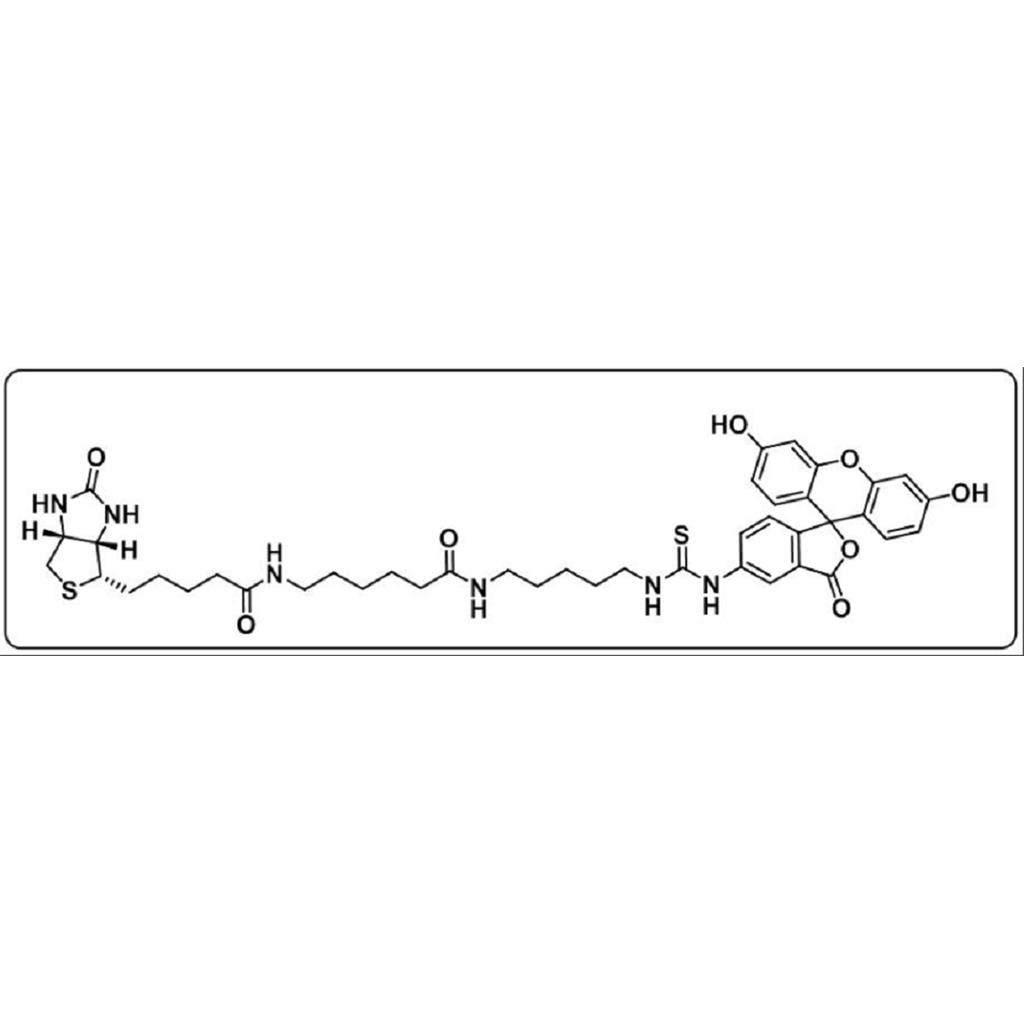 134759-22-1，FITC-生物素，FITC-Biotin，异硫氰酸荧光素标记生物素，Biotin-FITC，Fluorescein Biotin