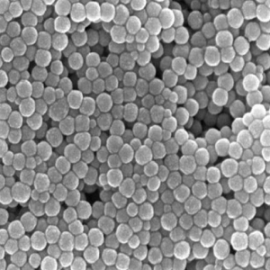 二氧化铪纳米颗粒，Hafnium Dioxide Nanoparticles