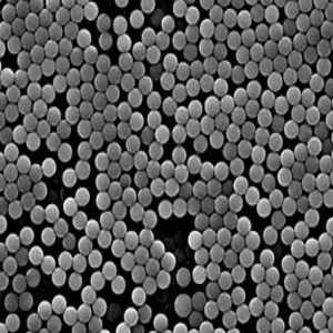 对甲苯磺酰基磁珠，Tosyl-Activated Magnetic Beads，Tos-MBs
