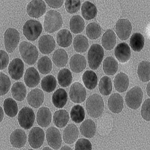 基葡聚糖磁珠，Dextran-Coated Magnetic Beads