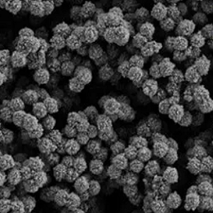 二氧化钛磁珠1um，Titanium Dioxide Magnetic Beads