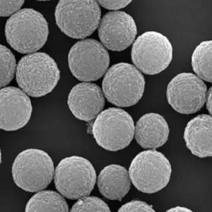 蛋白G磁珠，Protein G Magnetic Beads