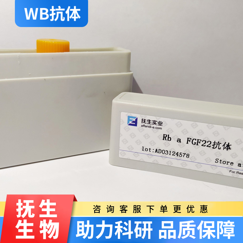 猪瘟病毒E2抗体