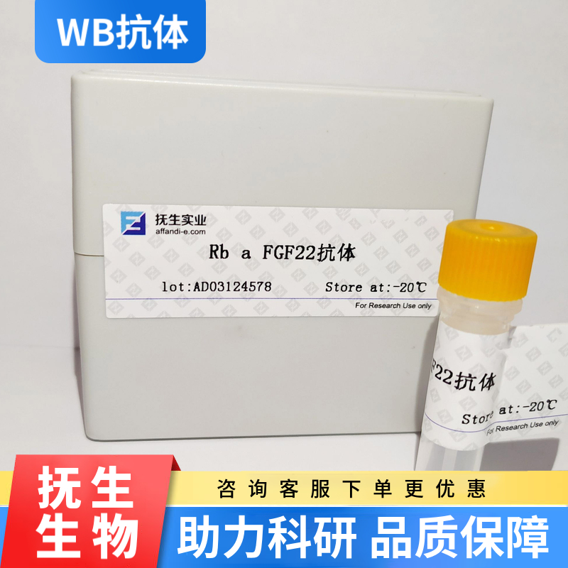 2，4-二氯苯氧乙酸(除草剂)单克隆抗体