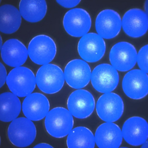 蓝色荧光修饰的聚乙烯（PE）微球，Blue PE Fluorescent Particles