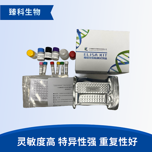 鱼糜蛋白酶(chymotrypsin）elisa试剂盒