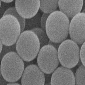 链霉亲和素修饰PE微球，Streptavidin PE Particles
