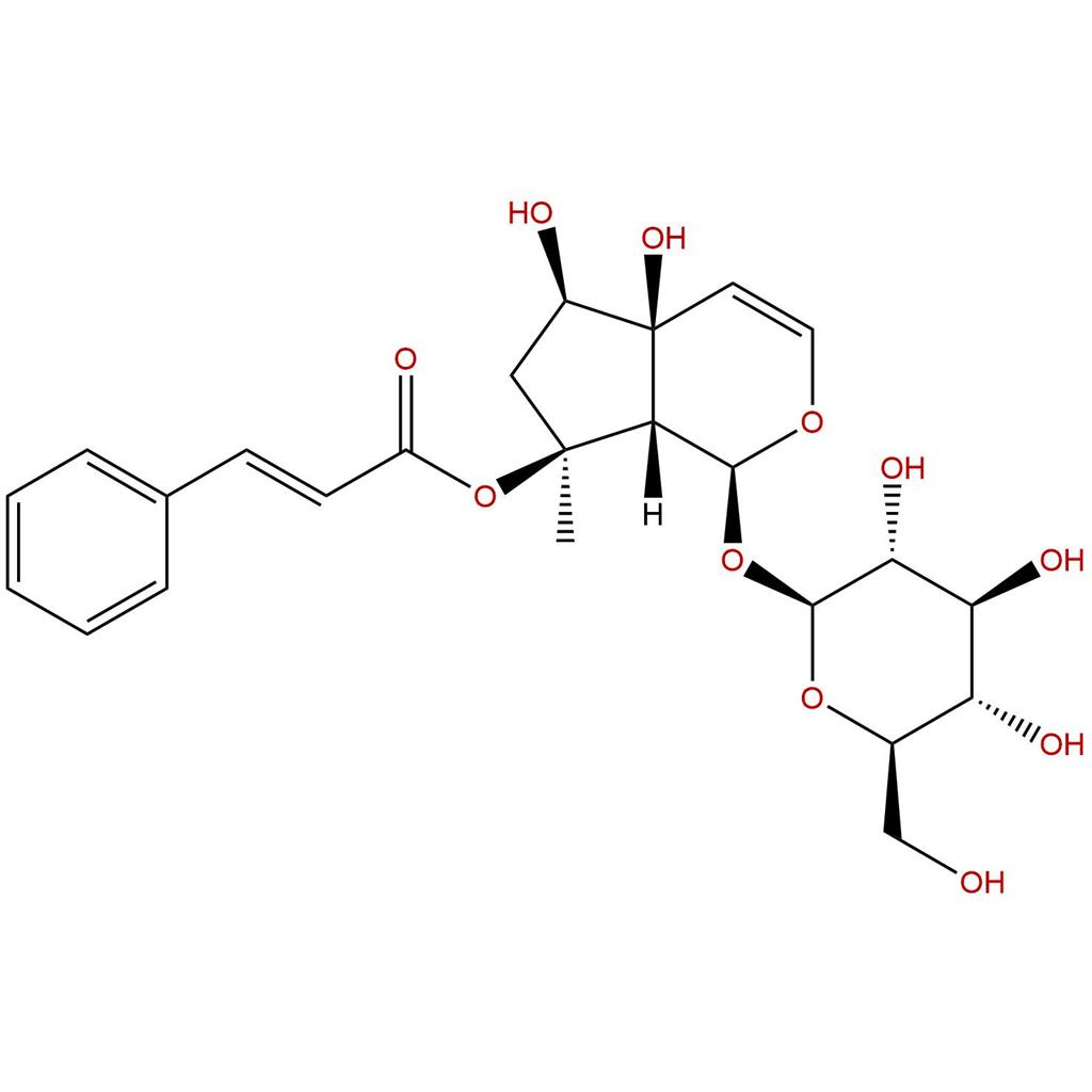 哈巴俄苷，Harpagoside，19210-12-9